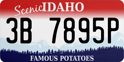 ID license plate 3B7895P