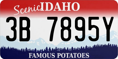 ID license plate 3B7895Y