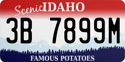 ID license plate 3B7899M