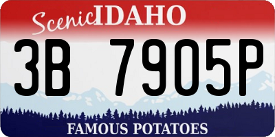 ID license plate 3B7905P