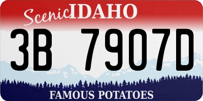 ID license plate 3B7907D