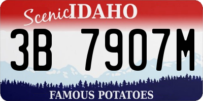 ID license plate 3B7907M