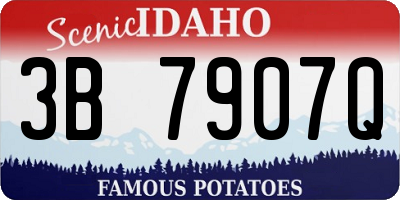 ID license plate 3B7907Q