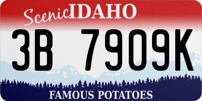 ID license plate 3B7909K