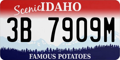 ID license plate 3B7909M