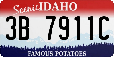 ID license plate 3B7911C