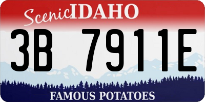 ID license plate 3B7911E