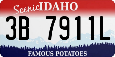 ID license plate 3B7911L