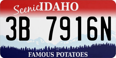 ID license plate 3B7916N