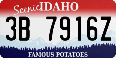 ID license plate 3B7916Z