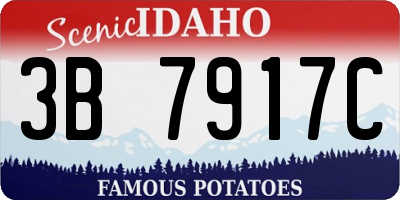 ID license plate 3B7917C