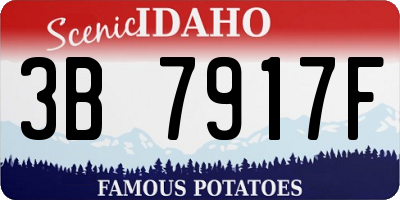 ID license plate 3B7917F