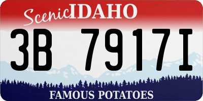 ID license plate 3B7917I