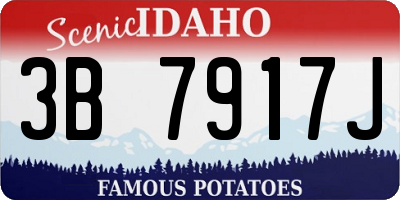 ID license plate 3B7917J