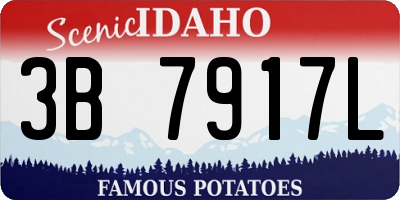ID license plate 3B7917L