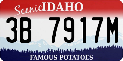 ID license plate 3B7917M