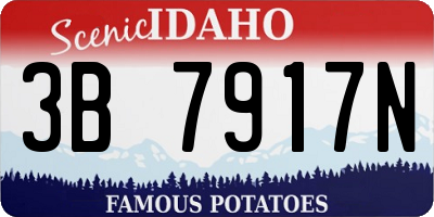ID license plate 3B7917N