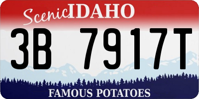 ID license plate 3B7917T