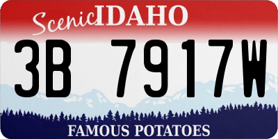 ID license plate 3B7917W