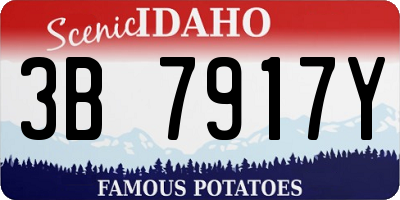 ID license plate 3B7917Y