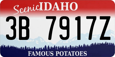 ID license plate 3B7917Z