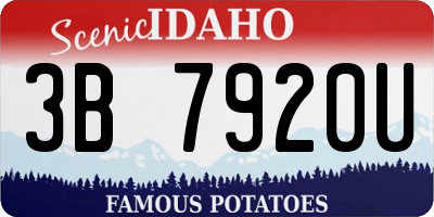ID license plate 3B7920U