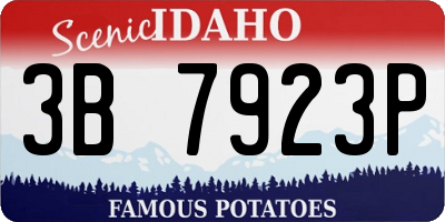 ID license plate 3B7923P