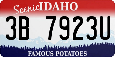ID license plate 3B7923U