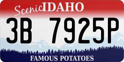 ID license plate 3B7925P