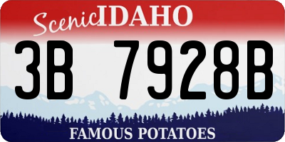 ID license plate 3B7928B