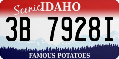 ID license plate 3B7928I