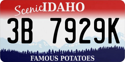 ID license plate 3B7929K
