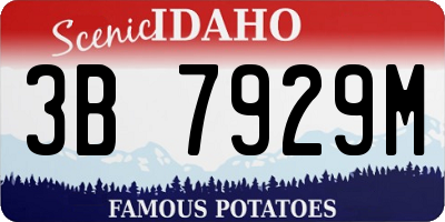 ID license plate 3B7929M