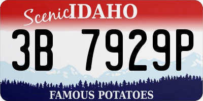 ID license plate 3B7929P