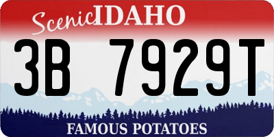 ID license plate 3B7929T