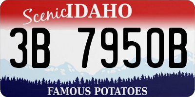 ID license plate 3B7950B