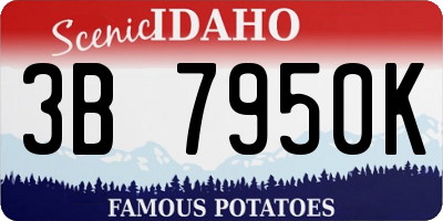 ID license plate 3B7950K
