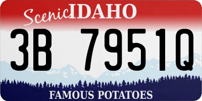 ID license plate 3B7951Q