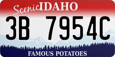 ID license plate 3B7954C