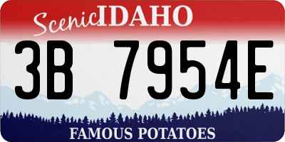 ID license plate 3B7954E