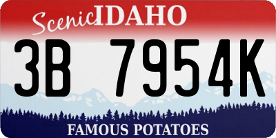 ID license plate 3B7954K
