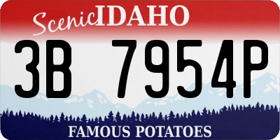 ID license plate 3B7954P