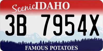 ID license plate 3B7954X
