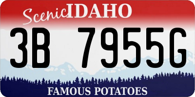 ID license plate 3B7955G