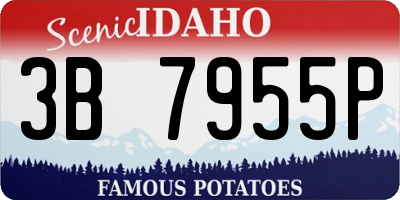 ID license plate 3B7955P