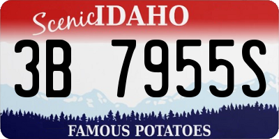 ID license plate 3B7955S