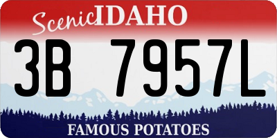 ID license plate 3B7957L