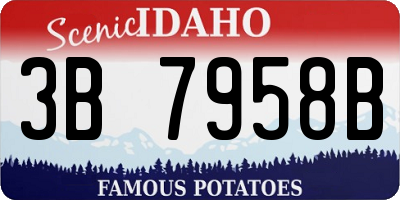 ID license plate 3B7958B