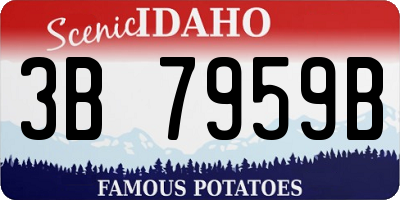ID license plate 3B7959B