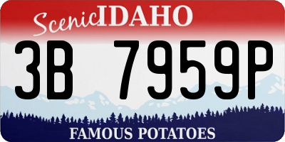 ID license plate 3B7959P